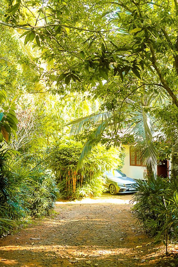 Walawwa Matale Exterior foto